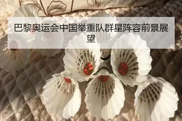 巴黎奥运会中国举重队群星阵容前景展望